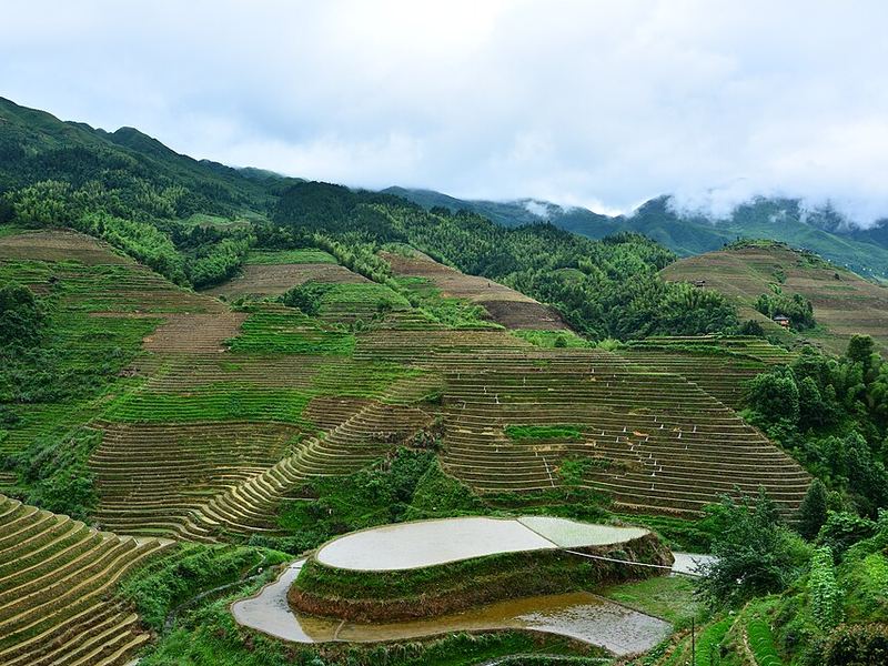 龙脊梯田